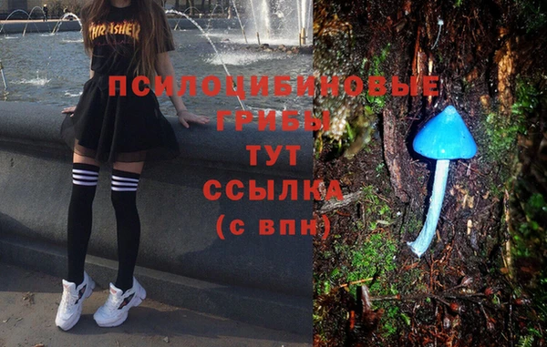 дмт Майский