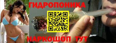 a pvp Волжск