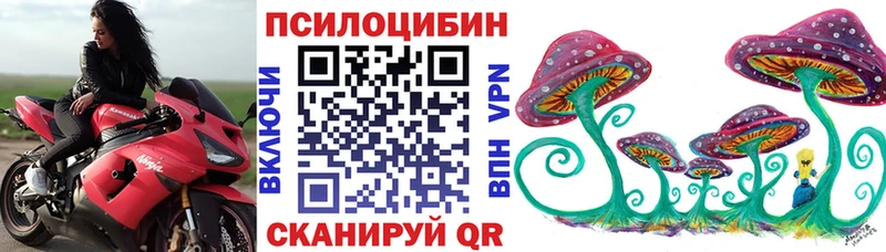Псилоцибиновые грибы мицелий  сколько стоит  Рязань 